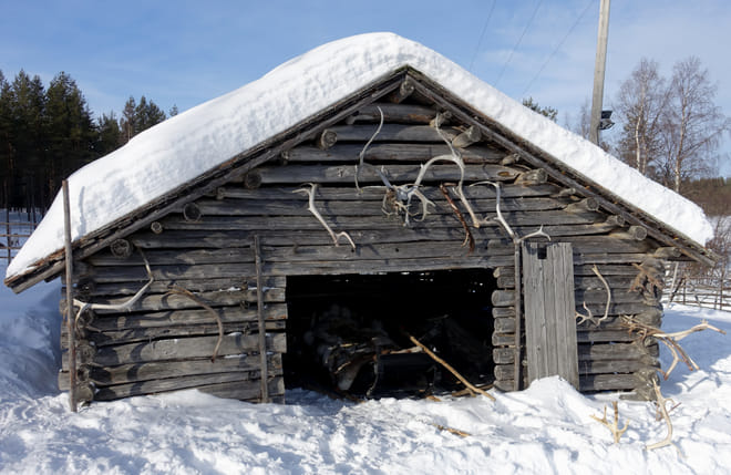 Long Reindeer Safari in the nature of Lapland (sleigh ride about 50-60 min)