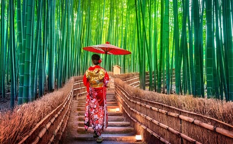 Kyoto & Nara Private Day Tour