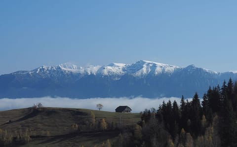 4-Day Trek in Bucegi Mountains and Piatra Craiului, Romania