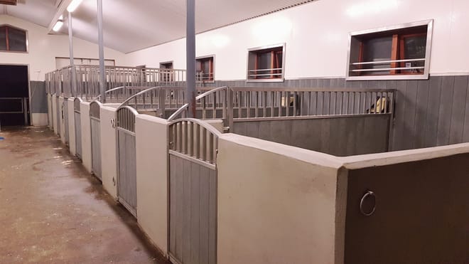 1 Hour - Winter Red lava Tour (With or Without Pick Up) 