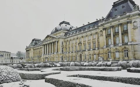 Brussels Day Trip from Amsterdam with Guided Tours and Transport