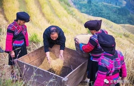 Private Day Tour of Longji Rice Terraces and Minority Villages