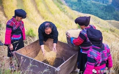 Private Day Tour of Longji Rice Terraces and Minority Villages