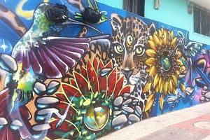 Full Day Private Medellin City, Street Art and Food Tour