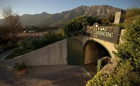 Full Day Wine Tasting Tour in Cape Winelands from Cape Town