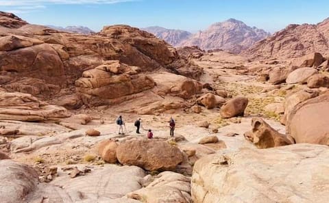 Climb Mount Sinai and Visit St. Catherine's Monastery from Sharm El Sheikh