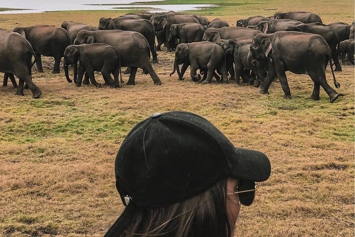 2 Days Ancient Wonders Tour