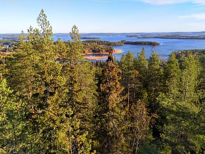 Nature safari Finland Oy Unesco maailman perintökohde Struven ketju opastettu retki Oravivuori Korpilahti Jyväskylä