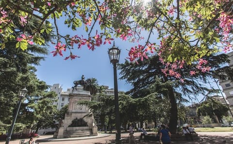 Two-Day Tour of Montevideo from Buenos Aires with Hotel Stay