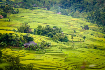 3-day Trekking in Ha Giang – Dong Van Karst Plateau