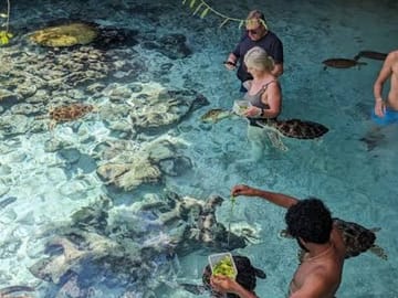 Zanzibar Prison Island, Jozani Forest and Sea Turtles Tour