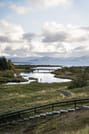 The Golden Circle & Friðheimar Greenhouse 10