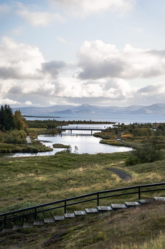 The Golden Circle & Friðheimar Greenhouse 10