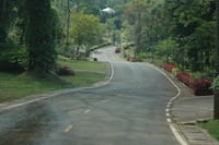 Cultural & Nature Tour: KMT Village, Pha Sua Waterfall, Pang Oung 5