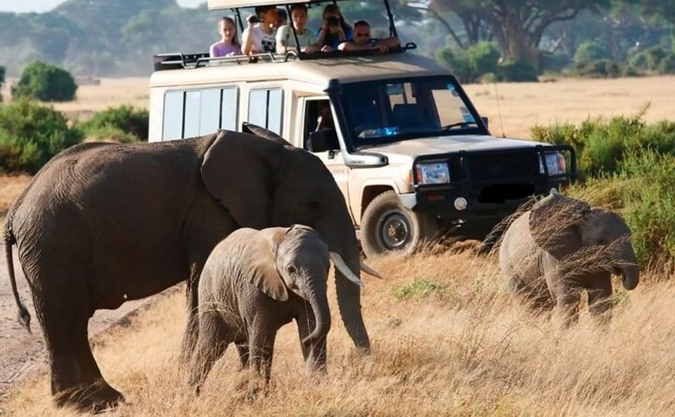 5-Day Wildlife and Cultural Adventure in Kenya