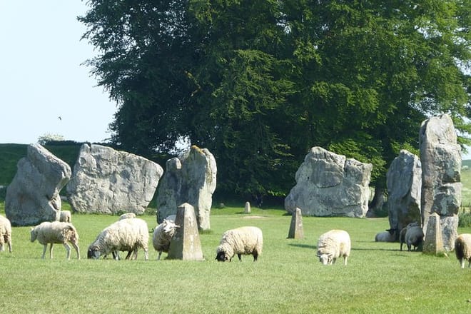 At Avebury sheep and people are allowed to roam among the stones!