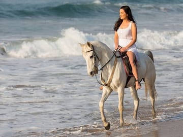 Beach Horse Riding Experience in Hurghada with Transfers