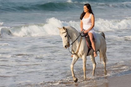 One-Hour Beach Horse Riding with Transfer from Hurghada