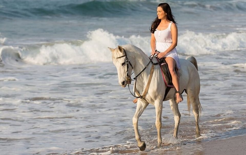 Beach Horse Riding Experience in Hurghada with Transfers