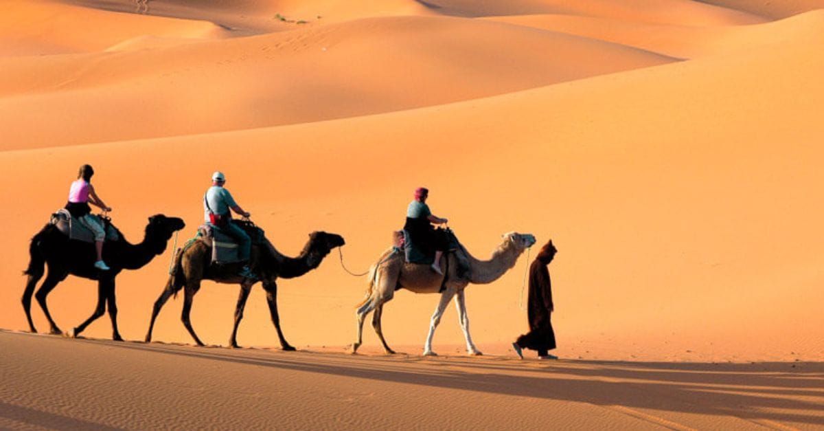 Dubai: City Tour and Desert Safari where the City Charm and Desert Thrill Combined In One Tour