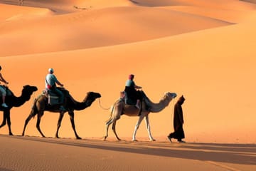 Dubai City Tour and Desert Safari Experience in One Day