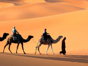 Dubai City Tour and Desert Safari Experience in One Day