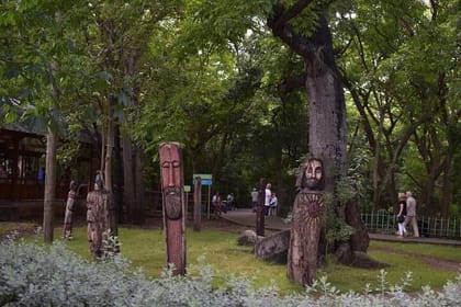 Private Tour to Santo Domingo from Punta Cana (Colonial City)