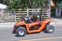 Horseback Riding, Buggies, and Beach Escape Amber cove Taino Bay 4
