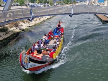 Private Day Tour of Aveiro, Costa Nova, and Coimbra from Porto