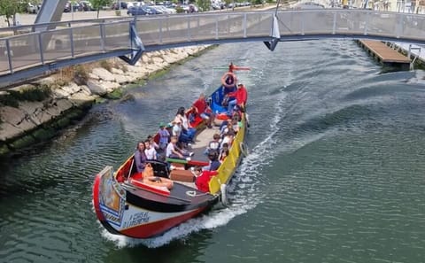 Private Day Tour of Aveiro, Costa Nova, and Coimbra from Porto