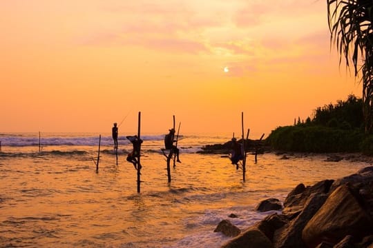 3 Day Pasikudha Tour from Anuradhapura