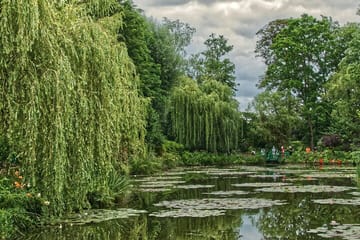Guided Walking Tour of Monet's Giverny Gardens in Eure