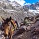 From Marrakech: day trip to Atlas Mountains & imlil waterfalls