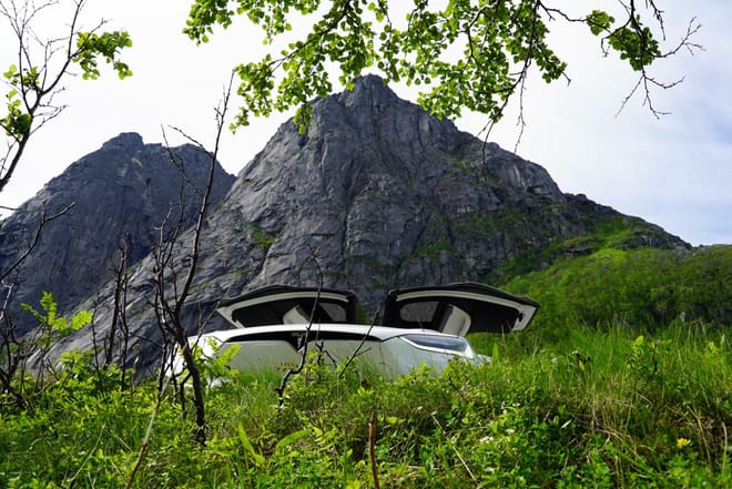 Fjord Sightseeing - TeslaX Electric car photo 4