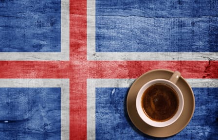 Reykjavik City Introduction Tour at Ingólfur Square