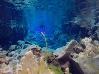 Silfra night freedive tour, photo 20