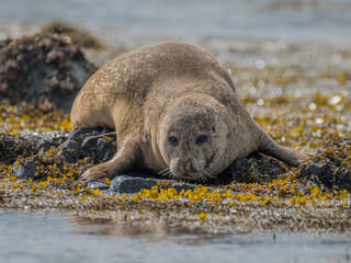 Snæfellsnes Peninsula | Private Tour | Photo Package Included, photo 14