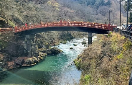 Nikko Private Tour Return by Bullet Train