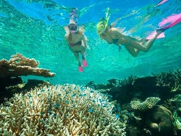 Catamaran Snorkel Tour with Shipwreck in Coxen Hole