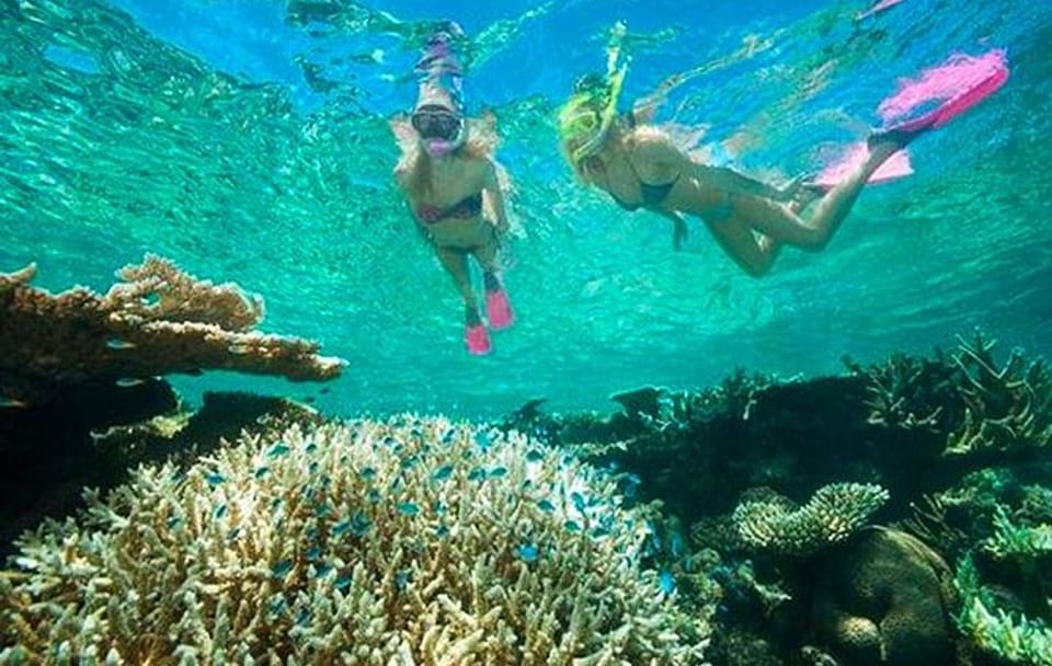 Catamaran Snorkel Tour with Shipwreck in Coxen Hole