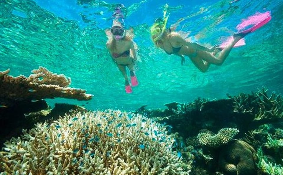 Catamaran Snorkel Tour with Shipwreck in Coxen Hole
