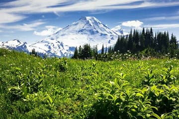 Private SUV Tour of Mt. Baker and Cascades from Seattle