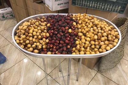 Camping Tour 3 Days, Oman Tours Package