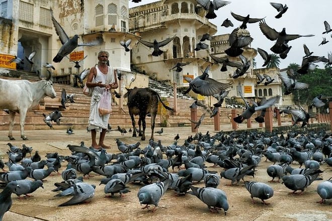 Pushkar Ghat