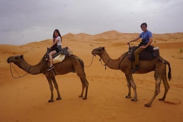 Camel Ride at Sunset in Erg Chebbi from Erfoud