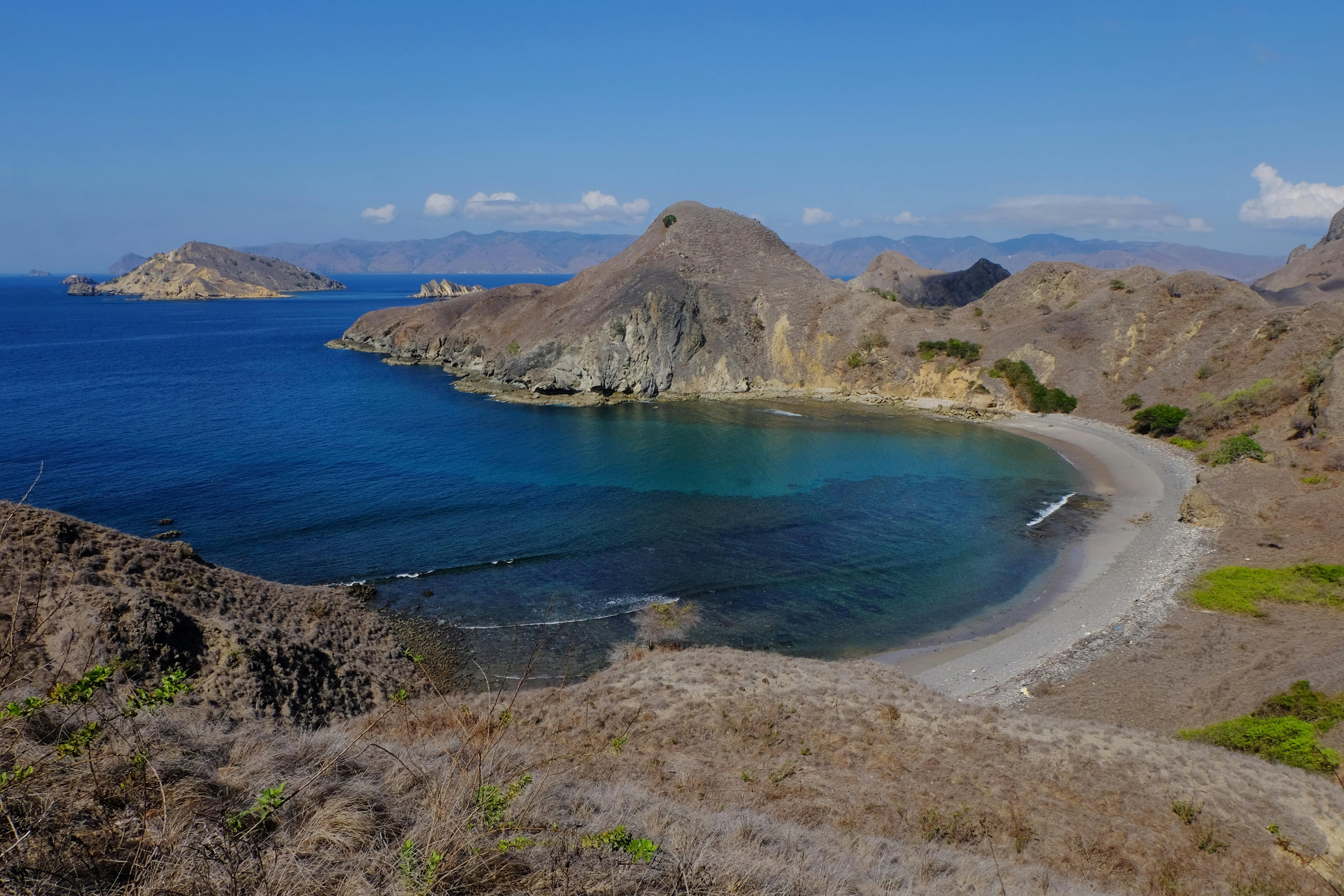 Tour guidato di un'intera giornata all'isola dei draghi di Komodo: Isola di Komodo