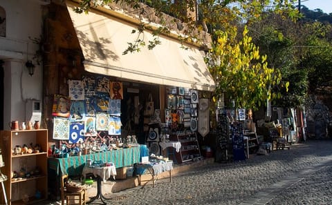 Private Half Day Tour of Krasi Village and Lasithi Plateau in Heraklion