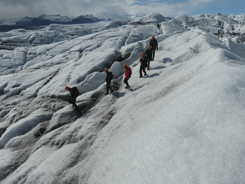 Summer Treasure - Glacier Discovery, photo 3