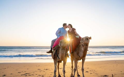 Private Day Tour to Tangier from Tarifa with Camel Ride