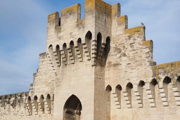 Private Historic Walking Tour of Avignon Old Town
